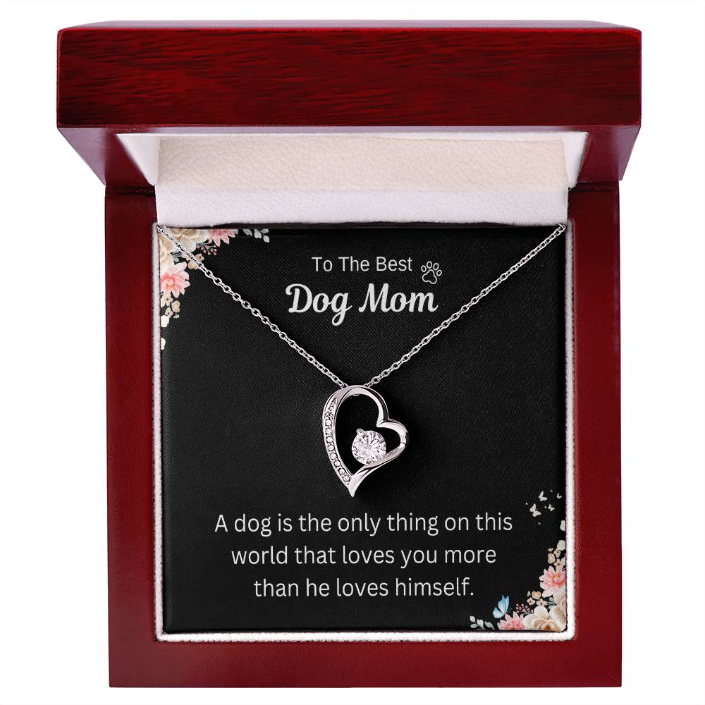 To the Amazing Dog MOM