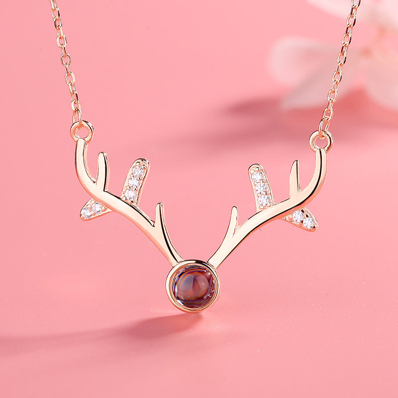 Celebrating Love with a Hundred Languages