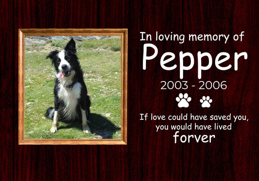 Canvas (Add Your Pet photo, Name and Date) - If love could have saved you you would have lived forever