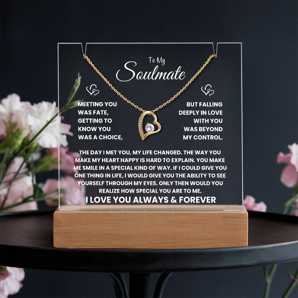 To My Soulmate - The Day I Met You, My Life Changed - Square Acrylic and the beautiful Forever Love Necklace