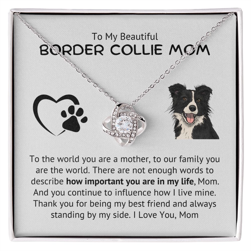 To My Beautiful Border Collie Mom